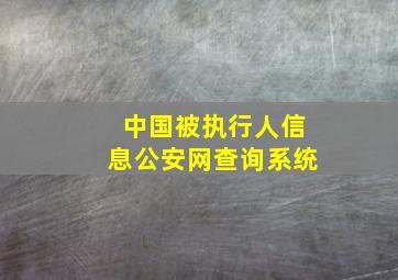 中国被执行人信息公安网查询系统