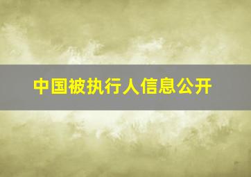 中国被执行人信息公开