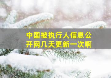 中国被执行人信息公开网几天更新一次啊