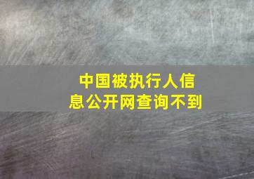 中国被执行人信息公开网查询不到