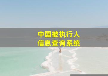 中国被执行人信息查询系统