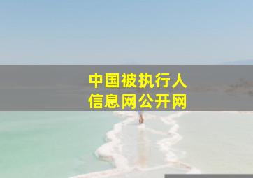 中国被执行人信息网公开网