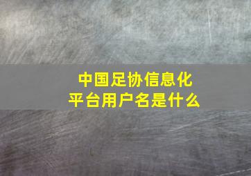 中国足协信息化平台用户名是什么