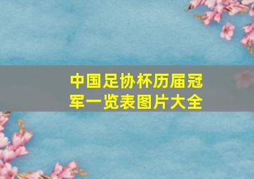 中国足协杯历届冠军一览表图片大全