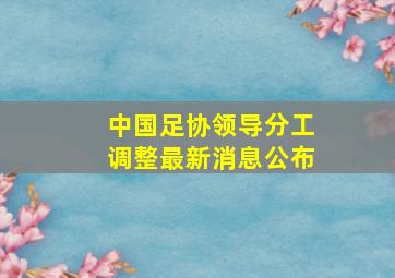 中国足协领导分工调整最新消息公布