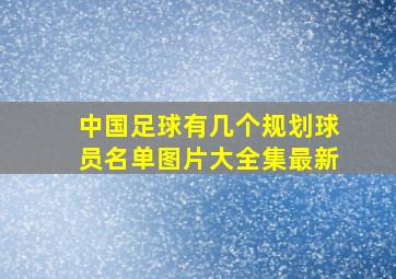 中国足球有几个规划球员名单图片大全集最新