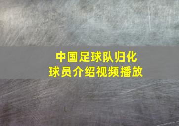 中国足球队归化球员介绍视频播放