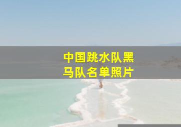 中国跳水队黑马队名单照片