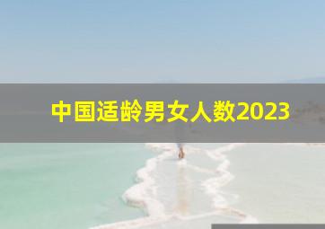 中国适龄男女人数2023