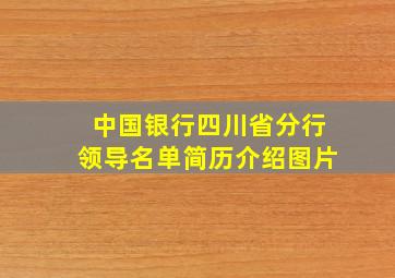 中国银行四川省分行领导名单简历介绍图片