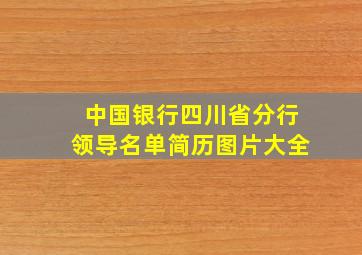 中国银行四川省分行领导名单简历图片大全