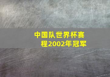 中国队世界杯赛程2002年冠军