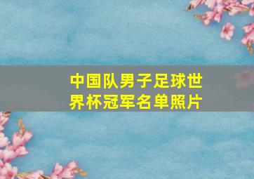 中国队男子足球世界杯冠军名单照片