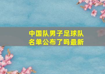 中国队男子足球队名单公布了吗最新