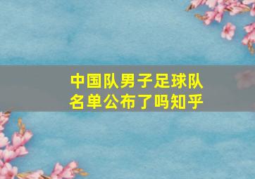 中国队男子足球队名单公布了吗知乎