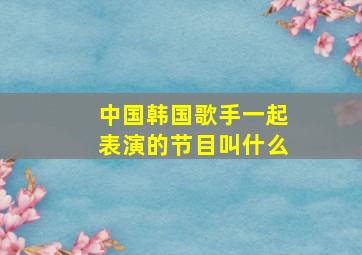 中国韩国歌手一起表演的节目叫什么