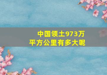 中国领土973万平方公里有多大呢