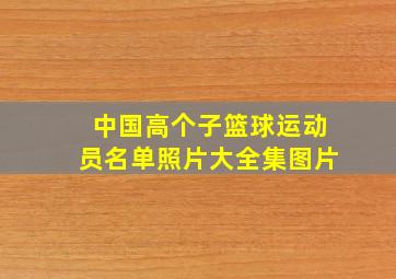 中国高个子篮球运动员名单照片大全集图片