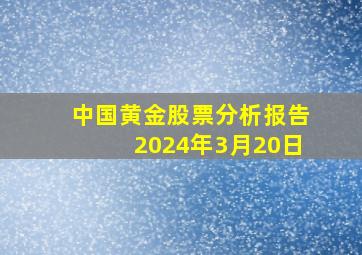 中国黄金股票分析报告2024年3月20日