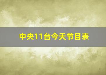 中央11台今天节目表