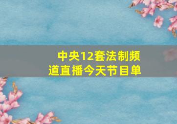 中央12套法制频道直播今天节目单