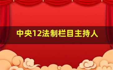 中央12法制栏目主持人