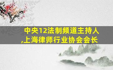 中央12法制频道主持人,上海律师行业协会会长