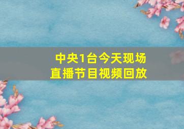 中央1台今天现场直播节目视频回放