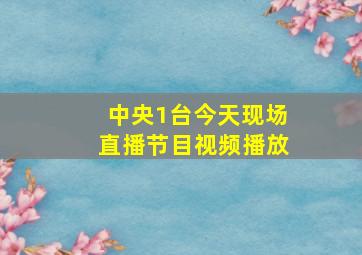 中央1台今天现场直播节目视频播放