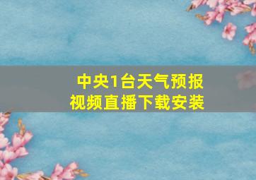 中央1台天气预报视频直播下载安装