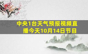 中央1台天气预报视频直播今天10月14日节目