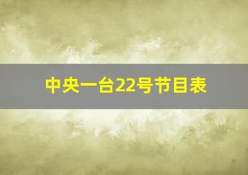 中央一台22号节目表