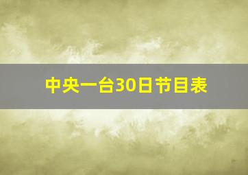 中央一台30日节目表