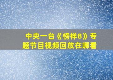 中央一台《榜样8》专题节目视频回放在哪看