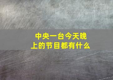 中央一台今天晚上的节目都有什么