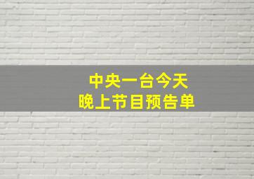 中央一台今天晚上节目预告单