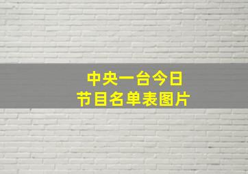 中央一台今日节目名单表图片