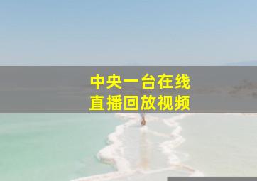 中央一台在线直播回放视频