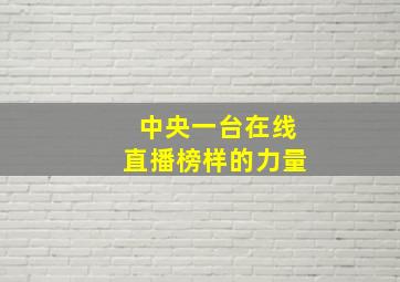 中央一台在线直播榜样的力量