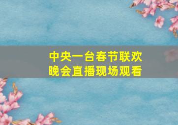 中央一台春节联欢晚会直播现场观看