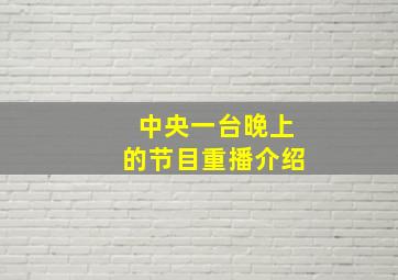 中央一台晚上的节目重播介绍