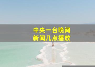 中央一台晚间新闻几点播放