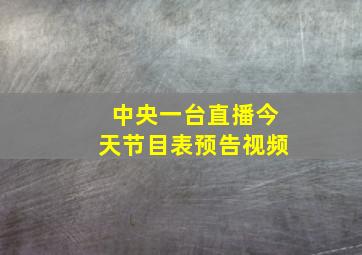 中央一台直播今天节目表预告视频