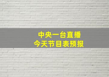 中央一台直播今天节目表预报