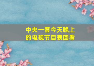 中央一套今天晚上的电视节目表回看