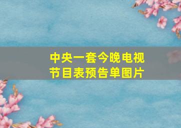 中央一套今晚电视节目表预告单图片