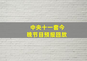 中央十一套今晚节目预报回放