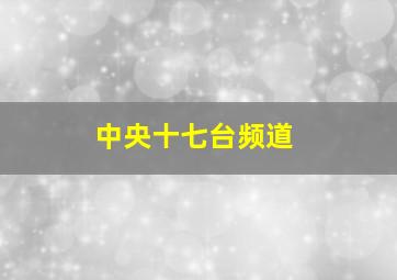 中央十七台频道