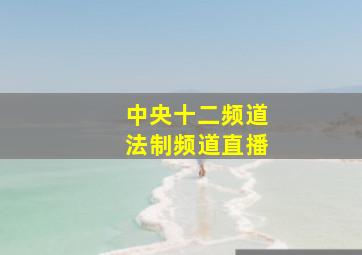 中央十二频道法制频道直播