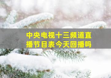 中央电视十三频道直播节目表今天回播吗